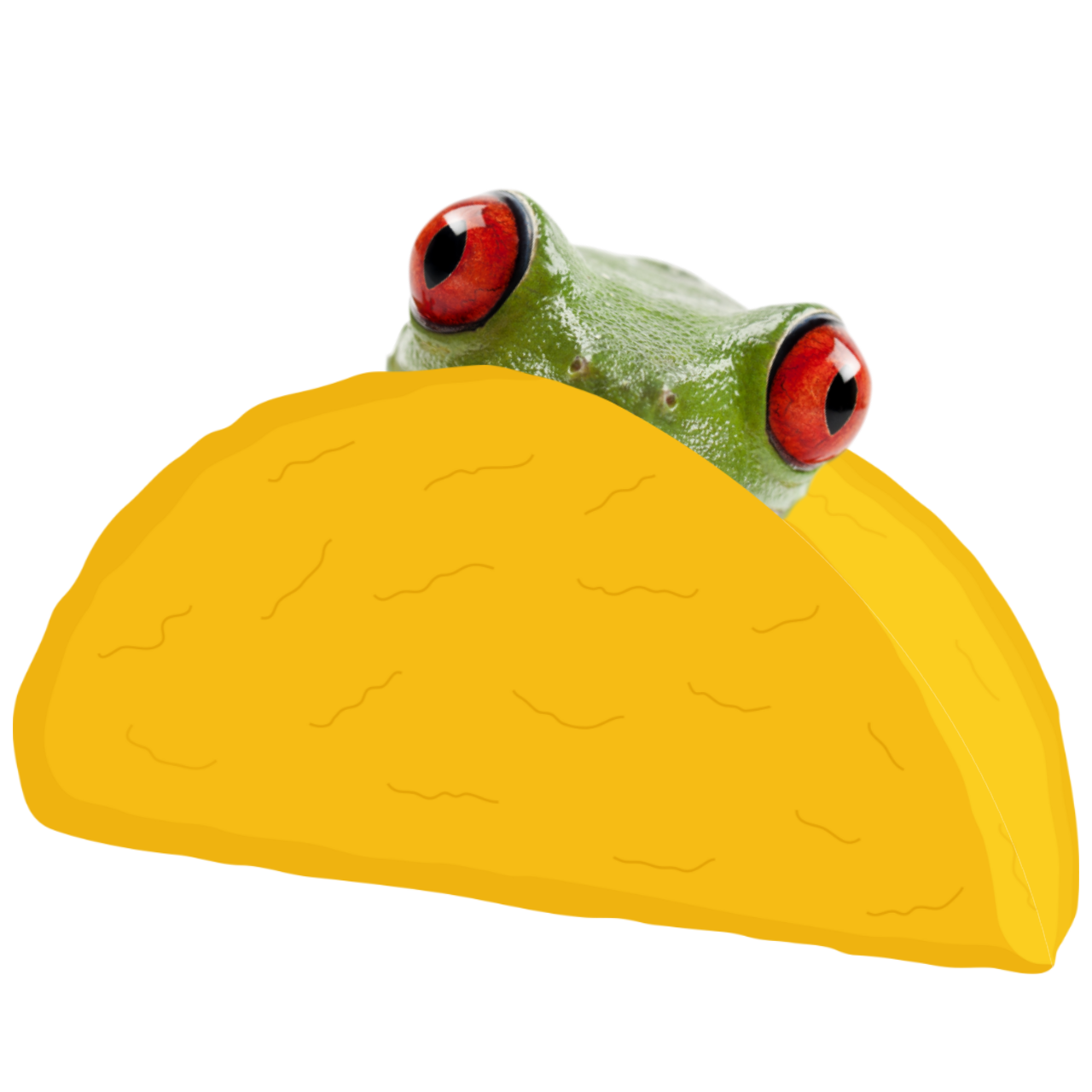 frogtacodotnet